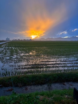 715/1000　夕陽を撮るひと　