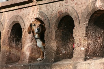 822/1000　血液型と経営　