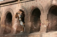 822/1000　血液型と経営　