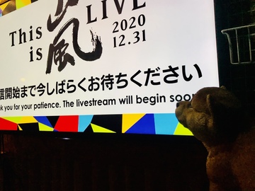 時代は変わる【嵐】ラストライブ