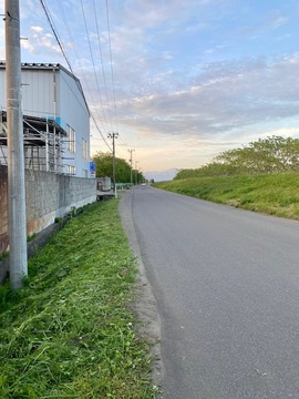 草刈りの季節到来