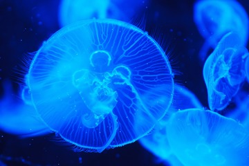 初泳ぎで感じる、人生を浮上させるということの根幹