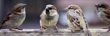 「なんか出来ることある？」の一言がどれだけありがたいか。