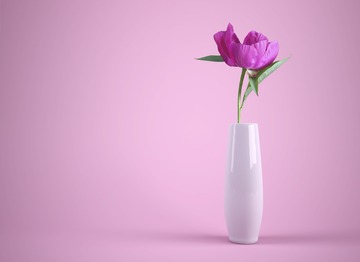 花と一輪挿しの関係