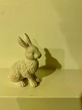 ウサギはなぜカメに負けたのか