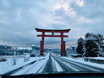 勝ちに行く初詣