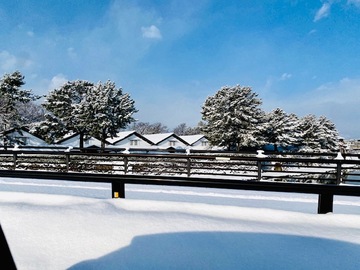 「雪はちょさねど、けねもんだ」と言う名言