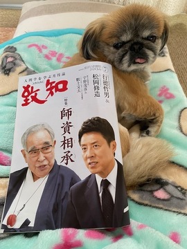 75/1000　地元のスーパースターが誌面に登場