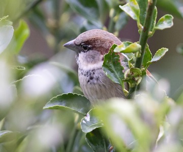 83/1000　探し物が頻発するようでしたら、モノの整理で鳥の目に視点を変えてあげよう。